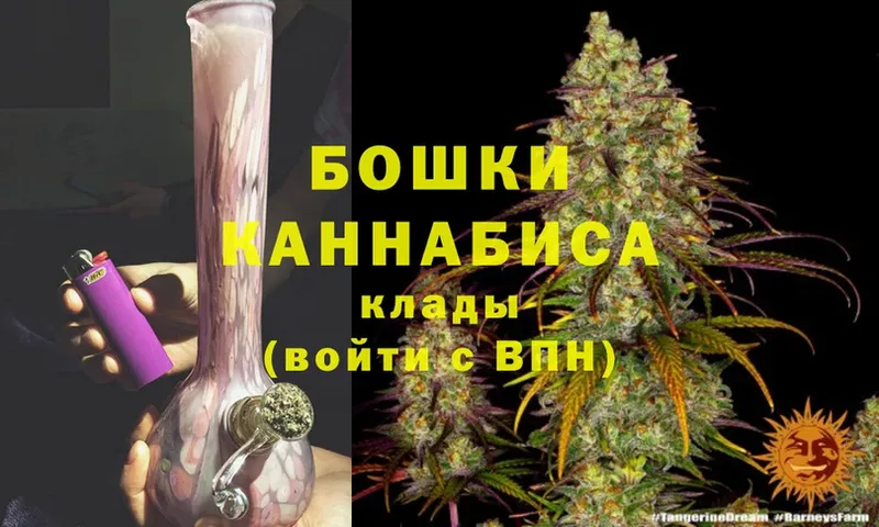 Бошки Шишки SATIVA & INDICA  кракен ТОР  Видное 